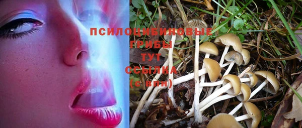 ГАЛЛЮЦИНОГЕННЫЕ ГРИБЫ Кинешма